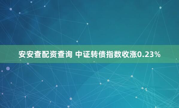 安安查配资查询 中证转债指数收涨0.23%