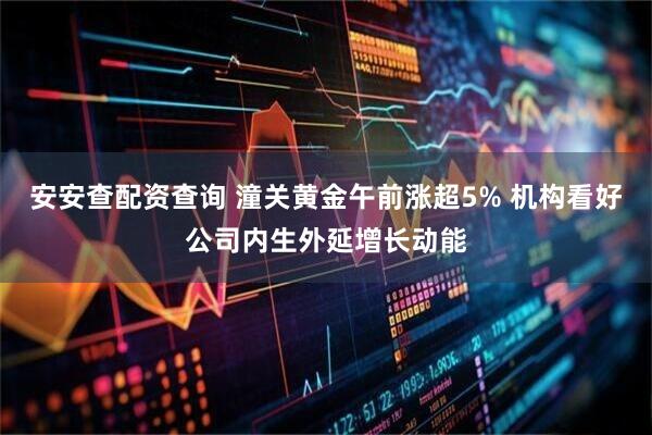 安安查配资查询 潼关黄金午前涨超5% 机构看好公司内生外延增长动能
